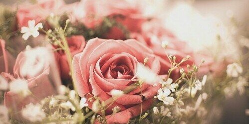 NelaD_ya's profile banner image