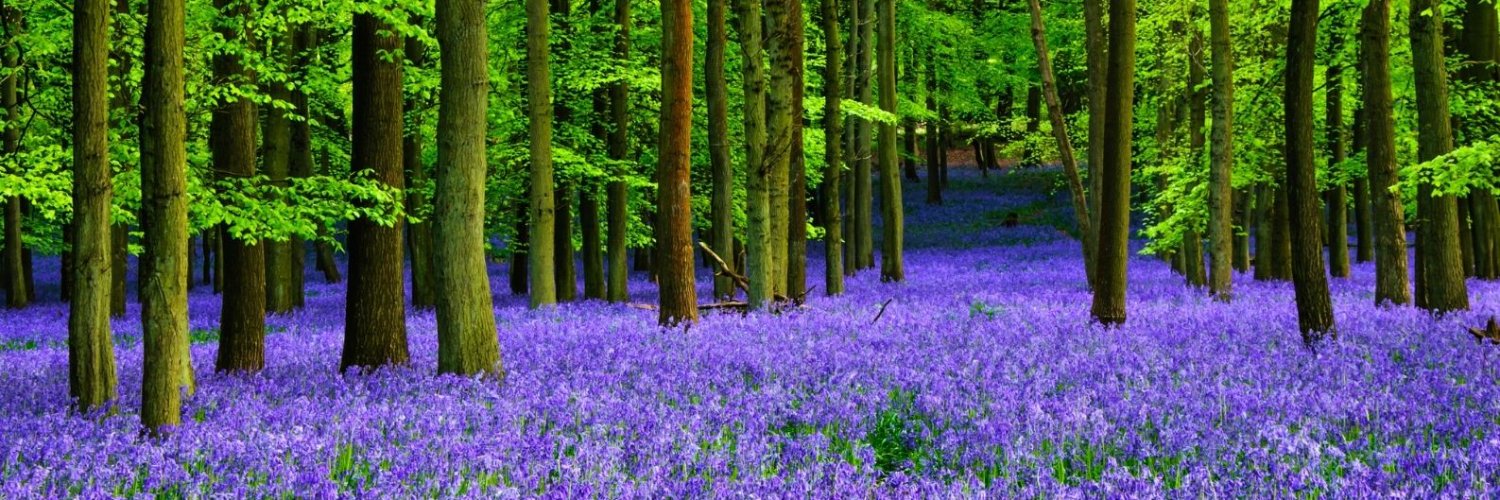 TCV Waltham Forest banner