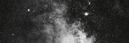 littlestlamb_x's profile banner image