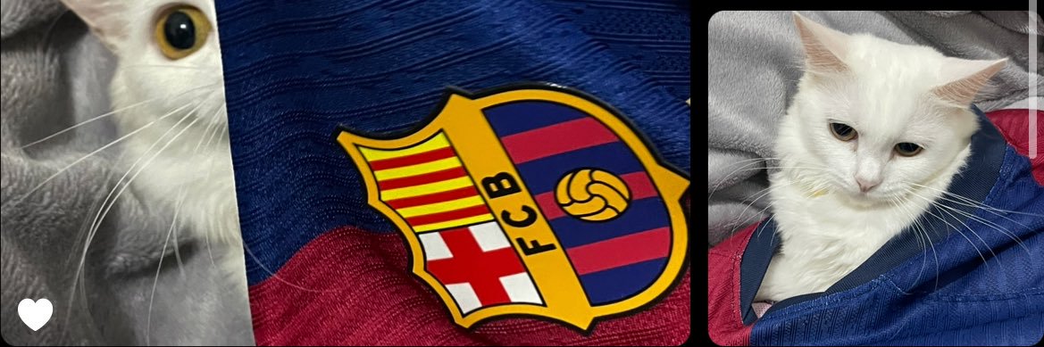 belbigael's profile banner image