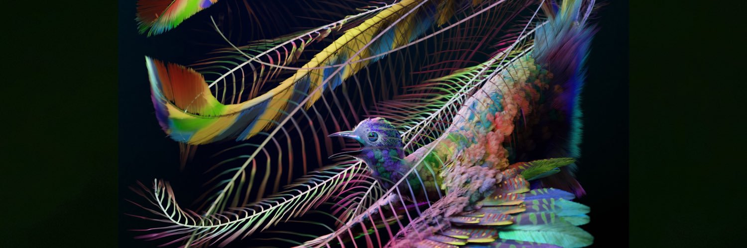 BamBooBii banner