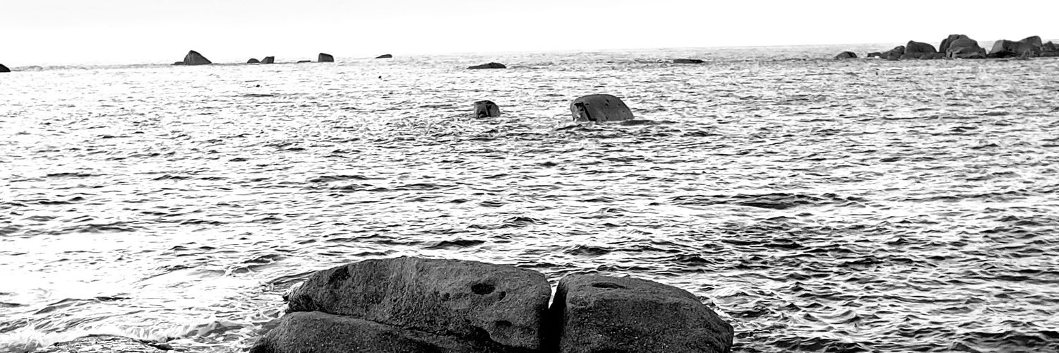 Natali Panaget banner