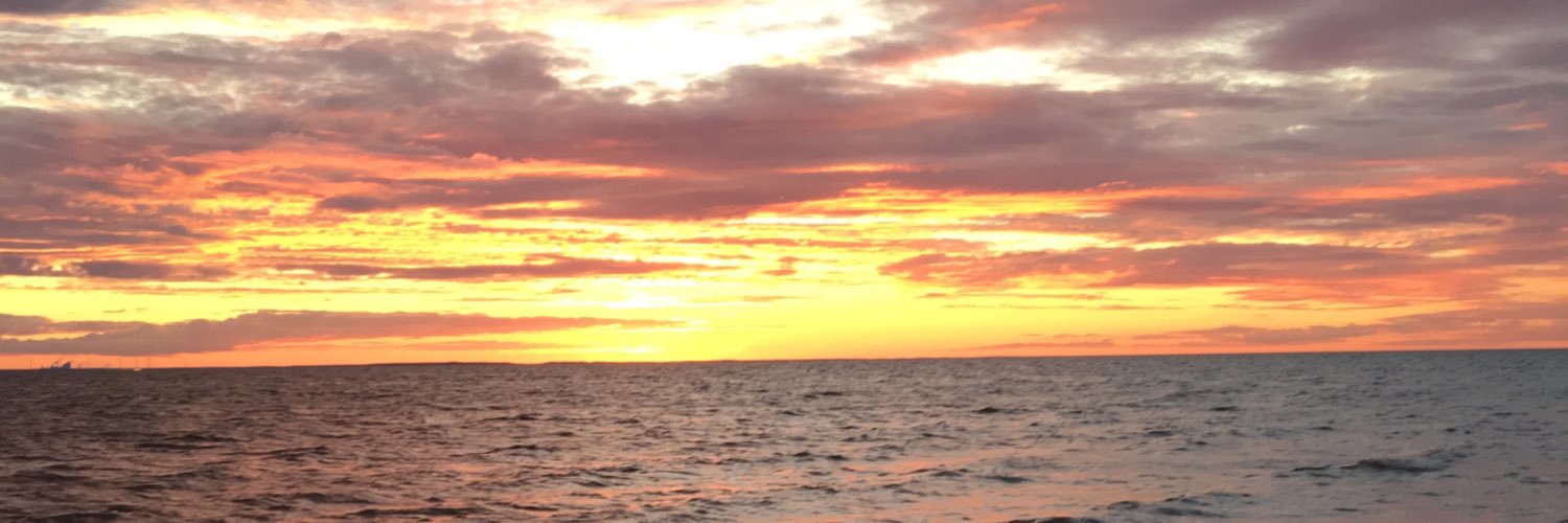 elinwiiden's profile banner image