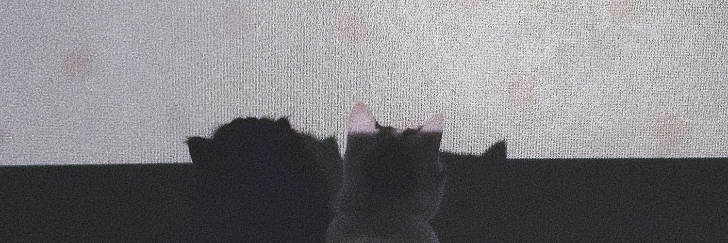 ssun-b's banner