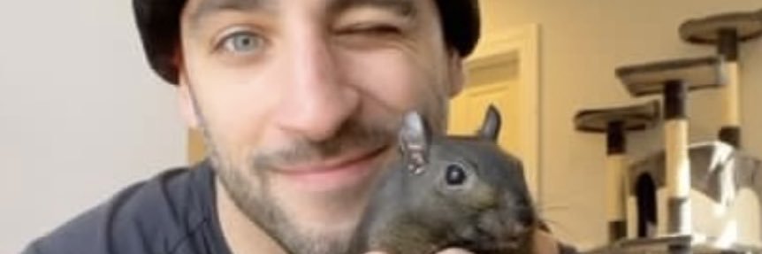 Squirrelldad's profile banner image