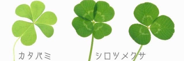 Small Gift Big Smile ˖࣭ﹾ⟡ᩩ໋ශ⃘̴ܸ︣𖾟ශ⃘̴ܸ︣᯿ banner