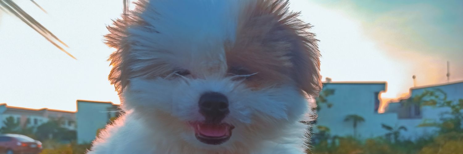 rnldrepala's profile banner image