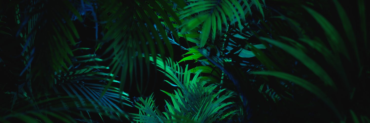 dead_flamingo's profile banner image