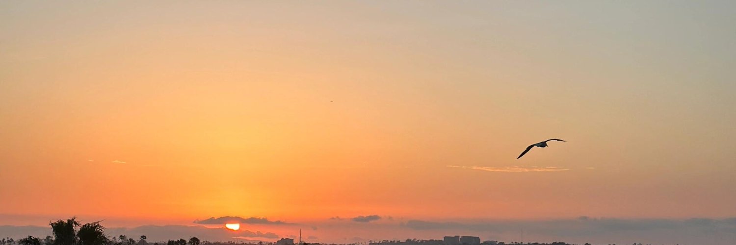 IledaAnna_bi's profile banner image