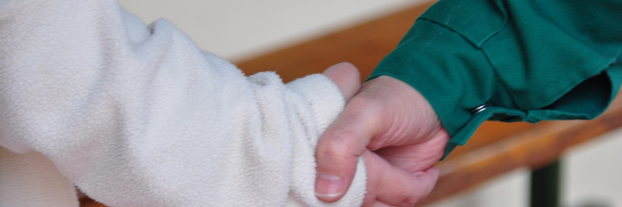 Nuria Sánchez Palos banner