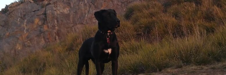 FrancoGuffa's profile banner image