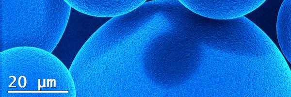 TCD_AML Profile Banner