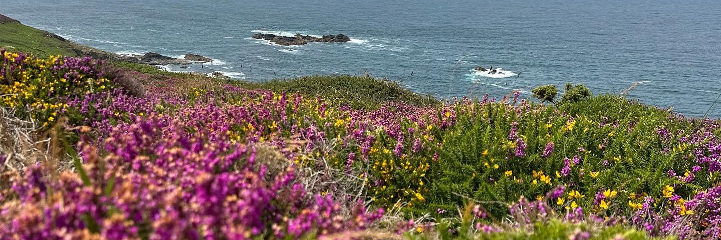 Victoria Byrne banner