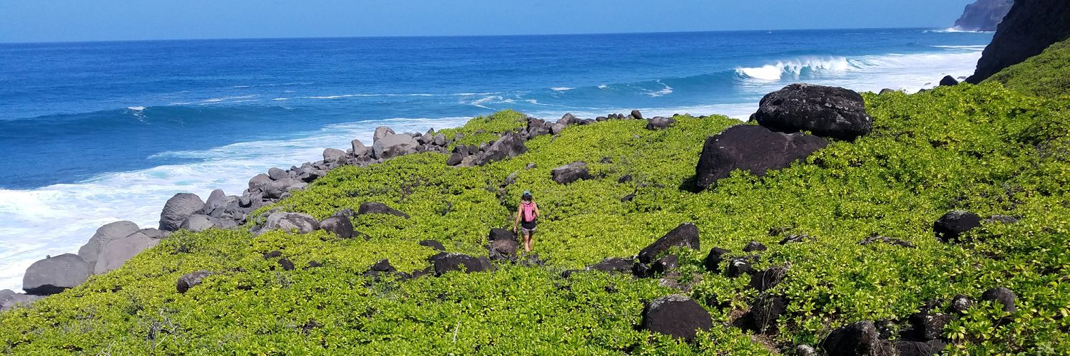 Bryan Schouman banner