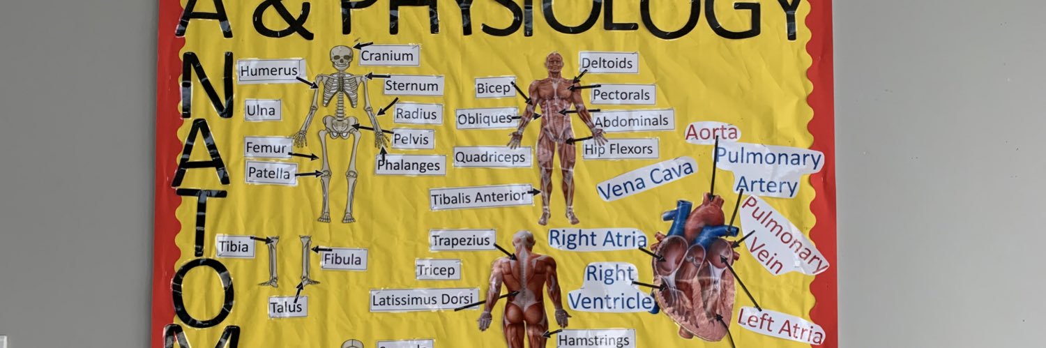 LNicholas1991's profile banner image