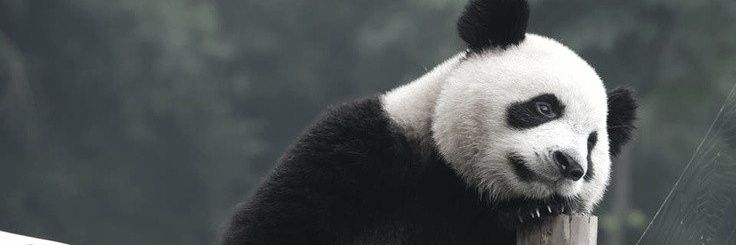 ༺◦∙⋅⍣Martin⍣⋅∙◦༻ banner