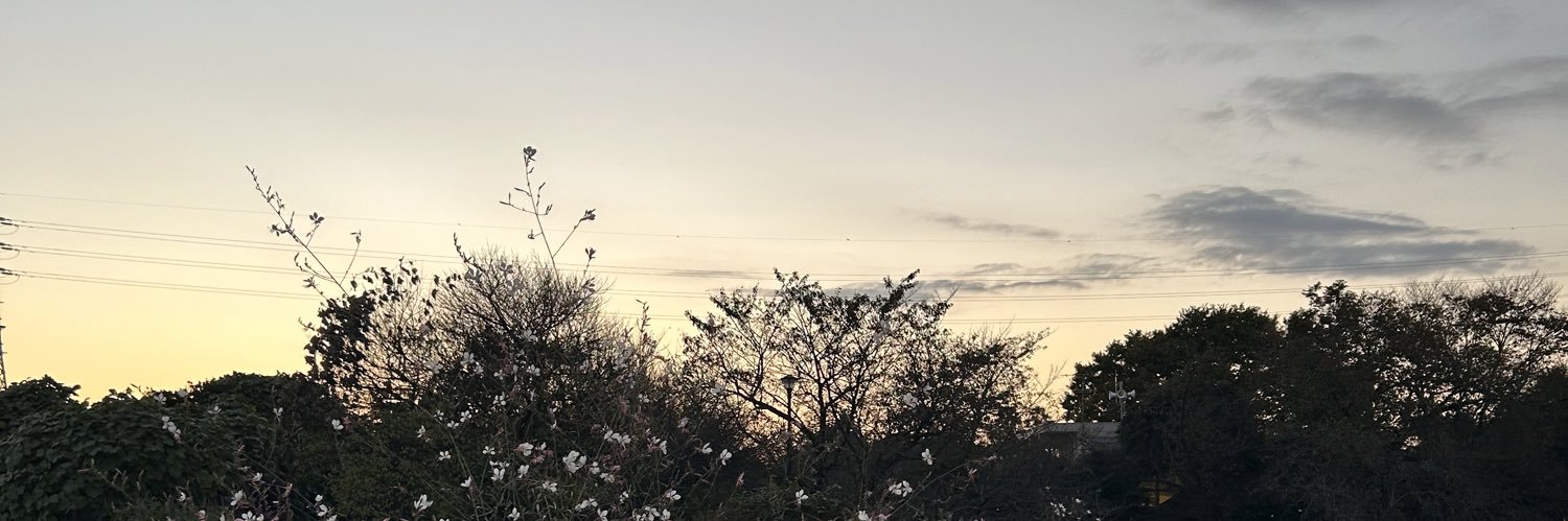 ( ᵕᴗᵕ )✩⡱ banner