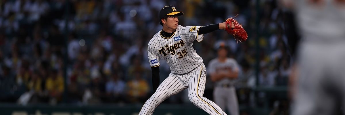 あっちょんぷりけー banner