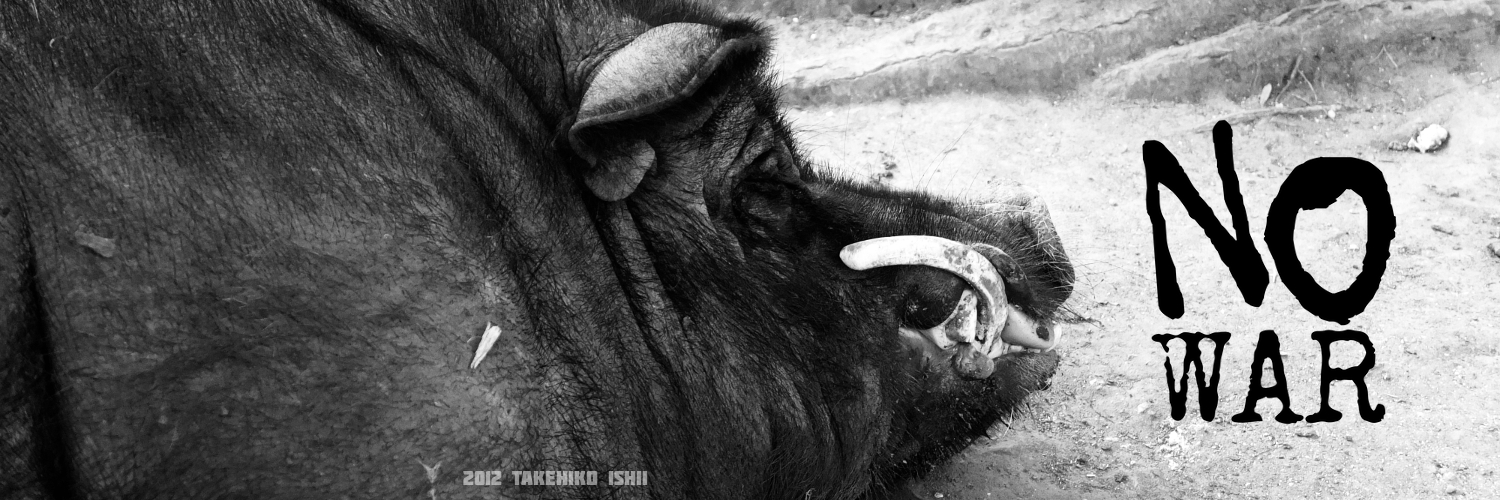 tkhkisi's profile banner image
