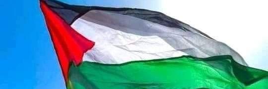 Palestinian_gir's profile banner image