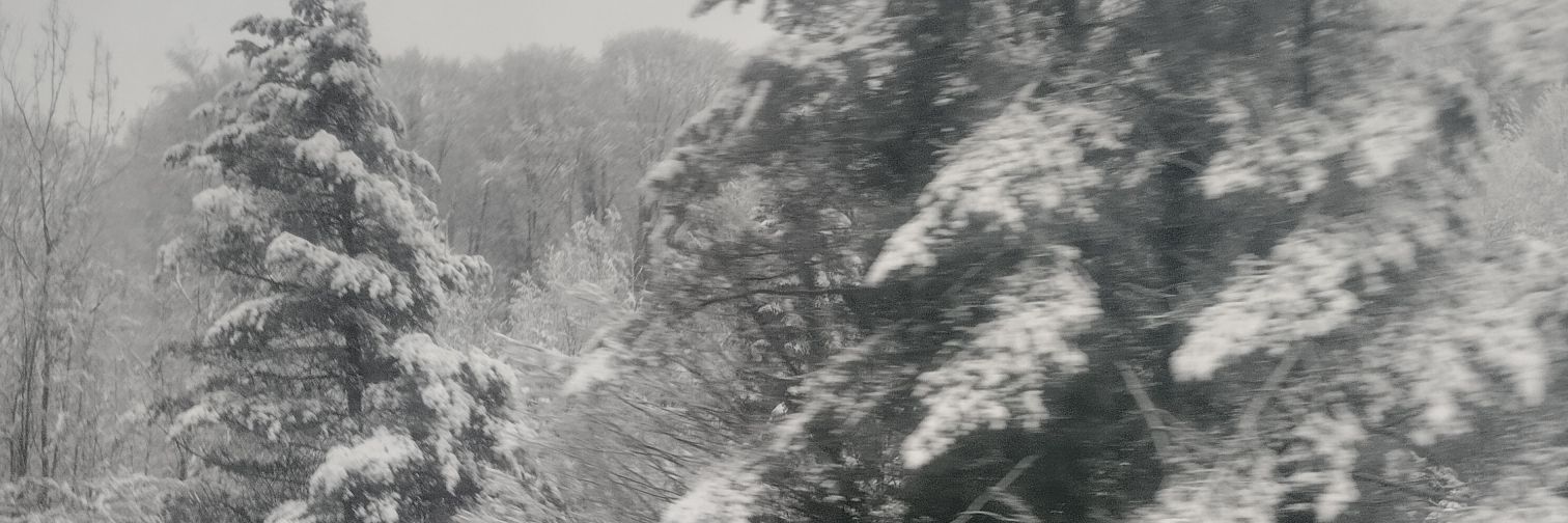 erdalerdal8560's profile banner image