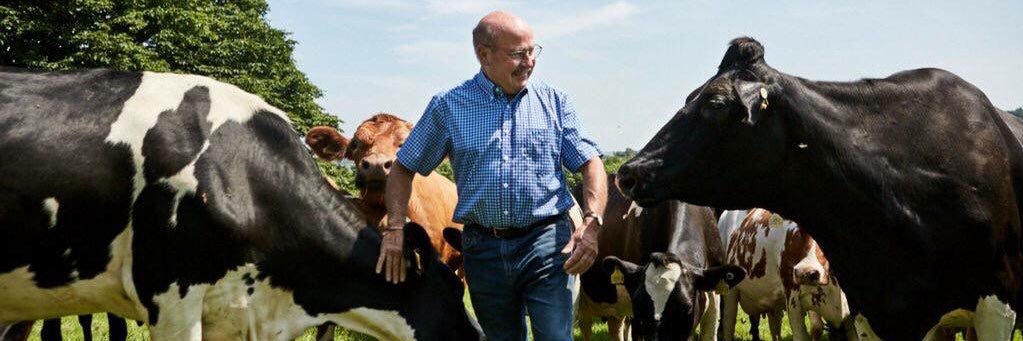 DaioniOrganic's profile banner image