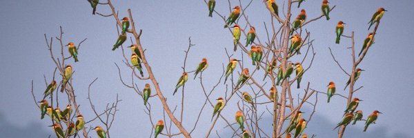 RajSingh__11 Profile Banner