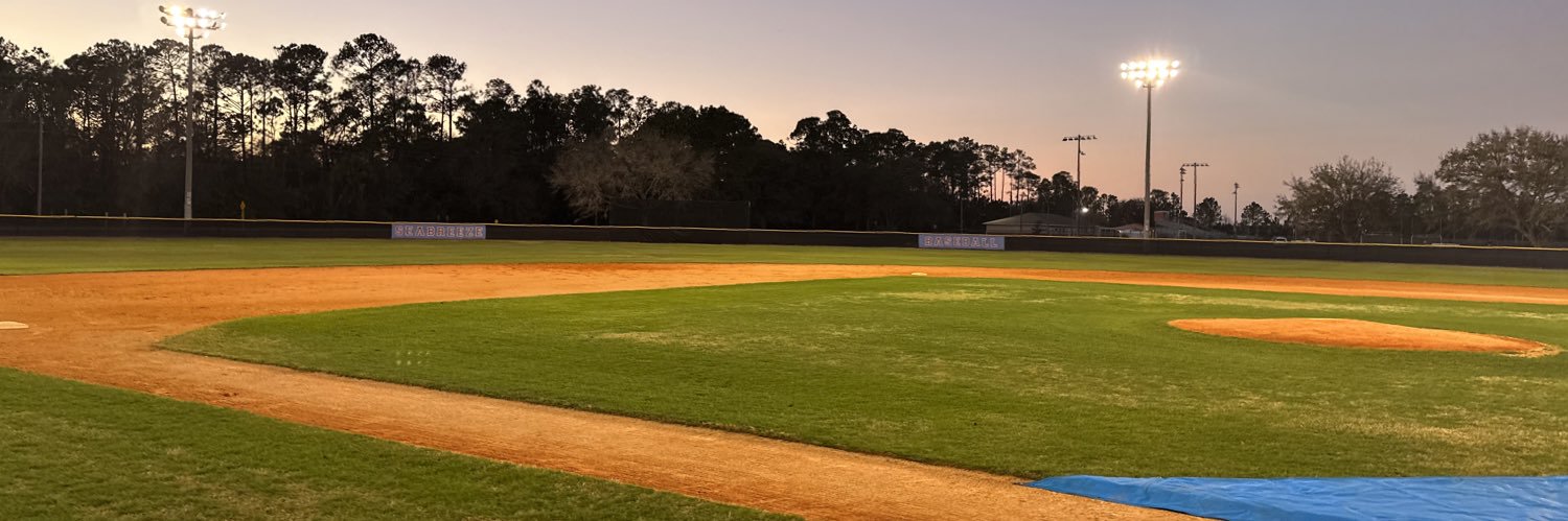 Sandcrab Baseball - Jeff Lemon banner