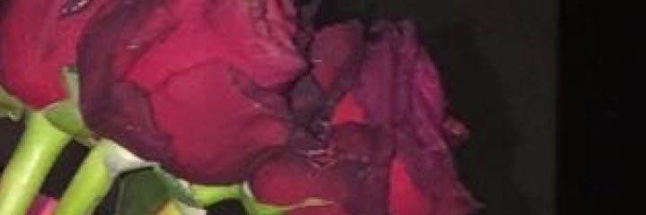 TGtvi's profile banner image