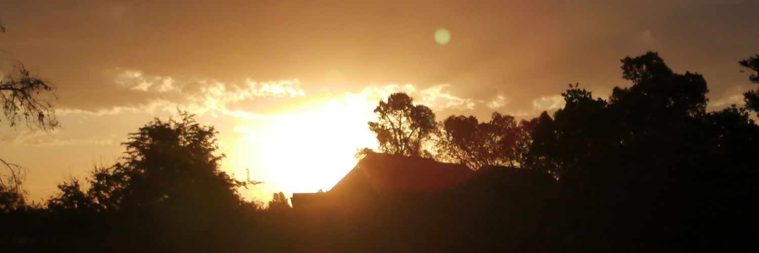 Nash_Bie's profile banner image