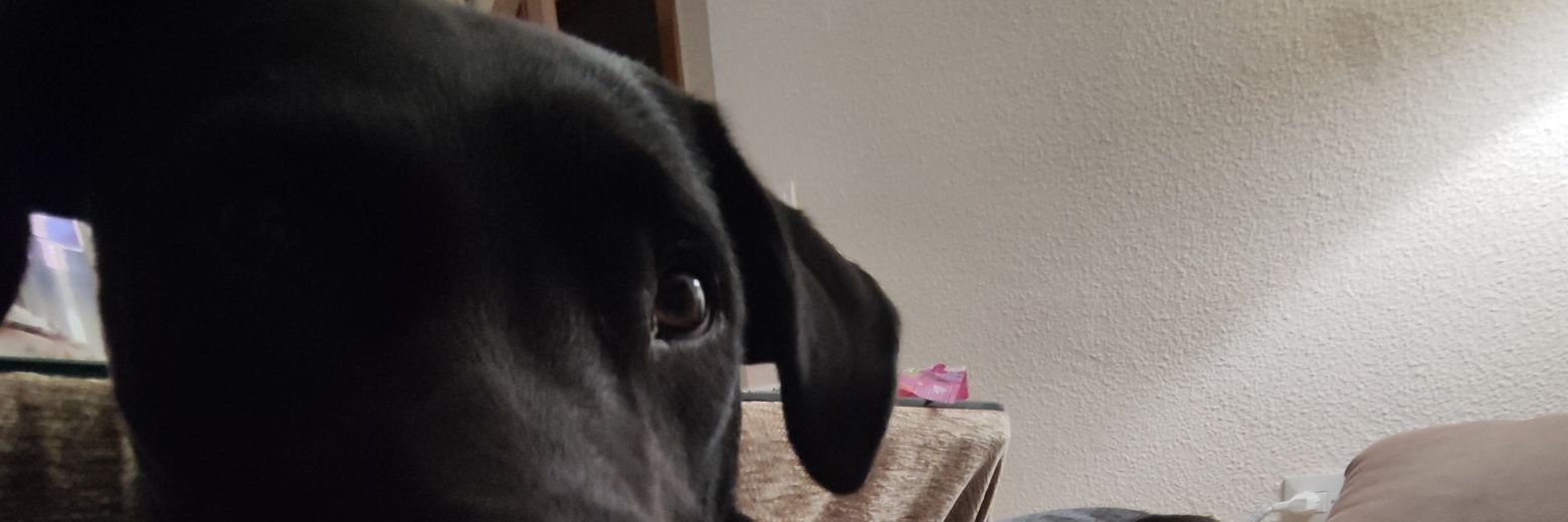 PCocaino's profile banner image