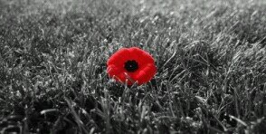 CAoneutd's profile banner image