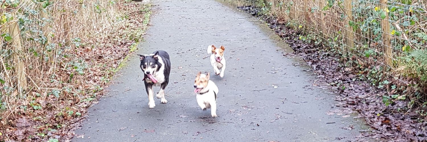 DougandGoblins banner