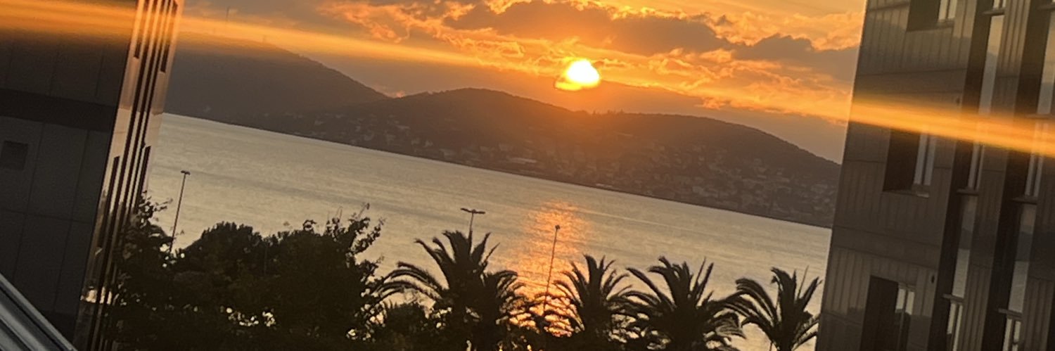 Cengiz Budak banner