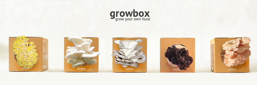 growboxbdg's profile banner image