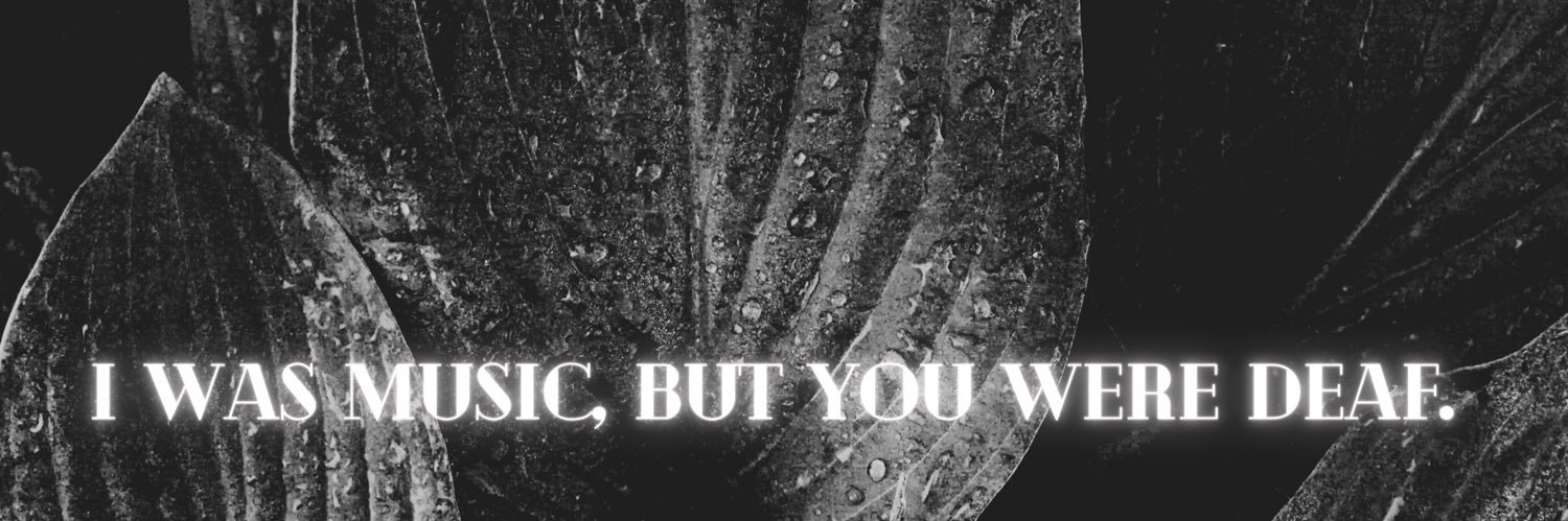 MaloneMariee's profile banner image