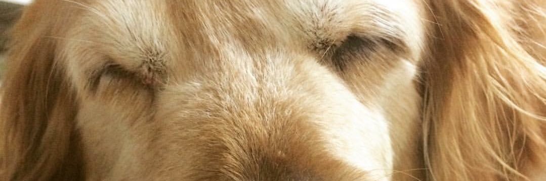 ncansuc's profile banner image