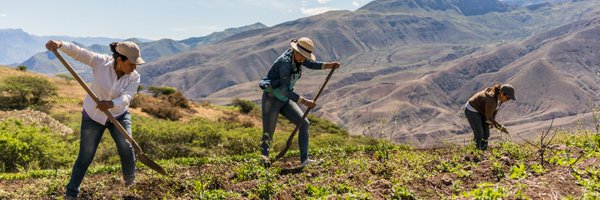 WFP_Ecuador Profile Banner