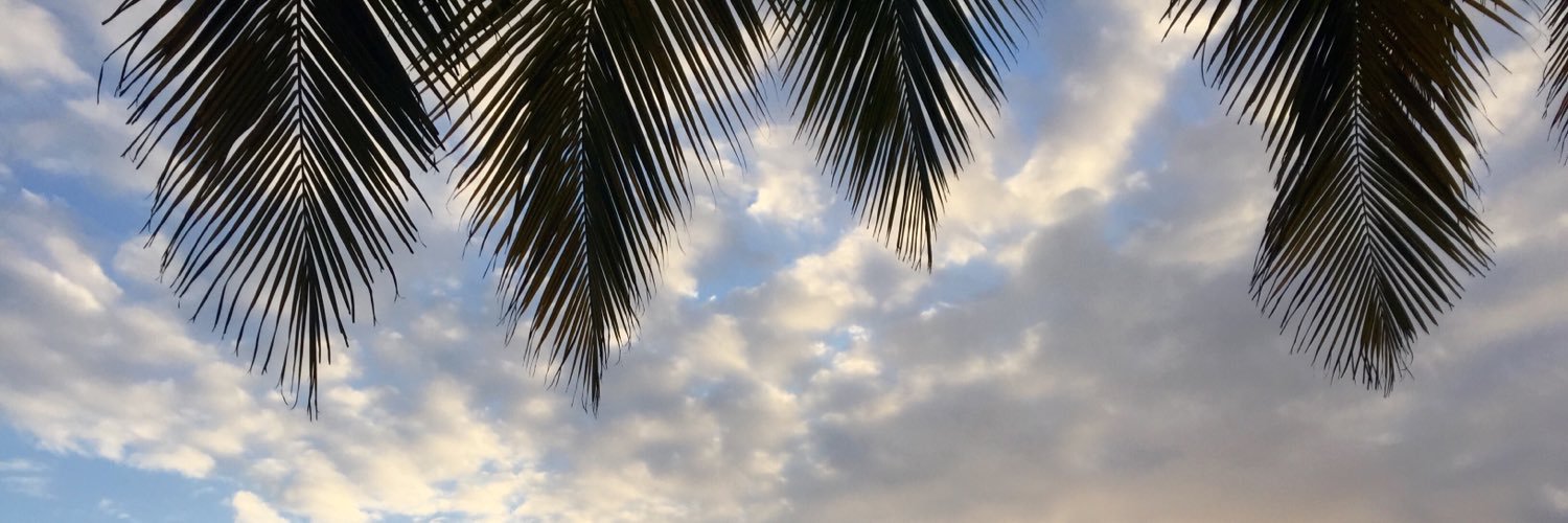 LorenzoRoc's profile banner image