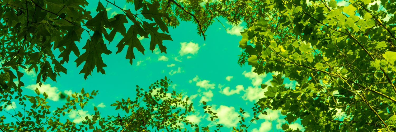 YDIZ's profile banner image