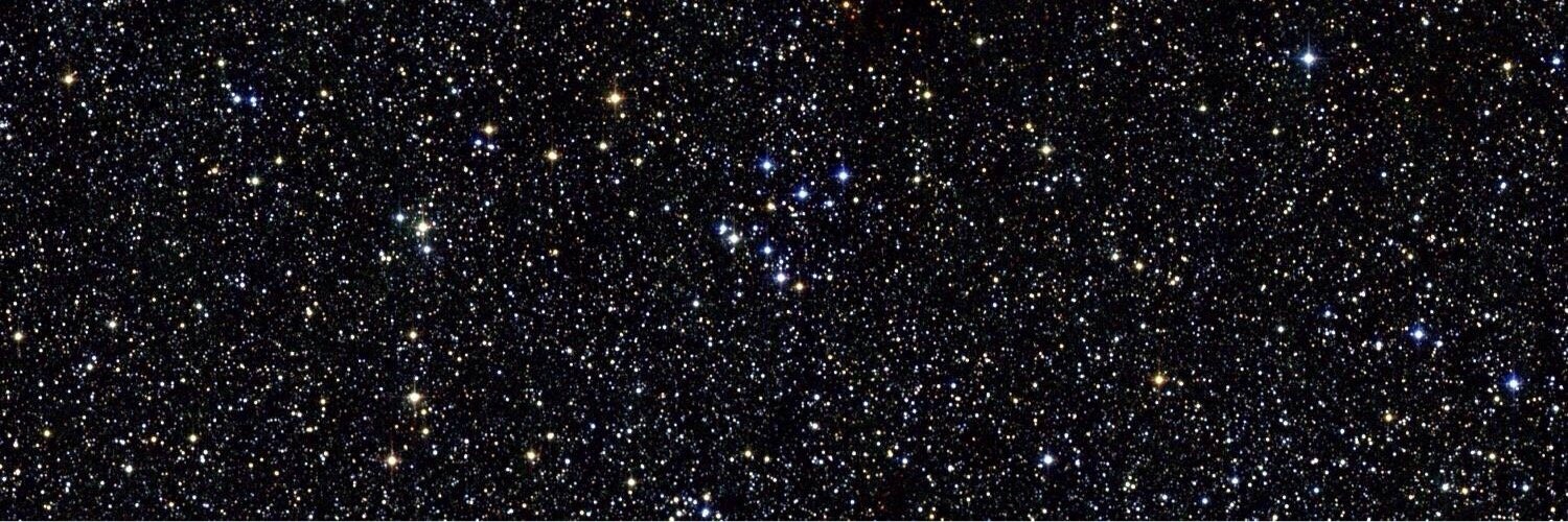 Ric the saint banner