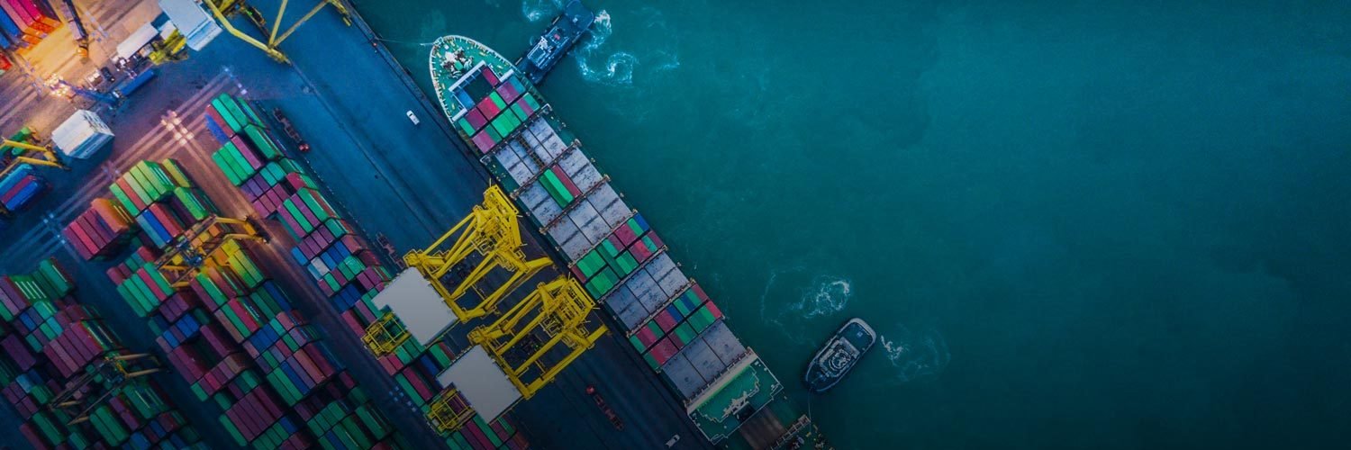 David Bischof banner