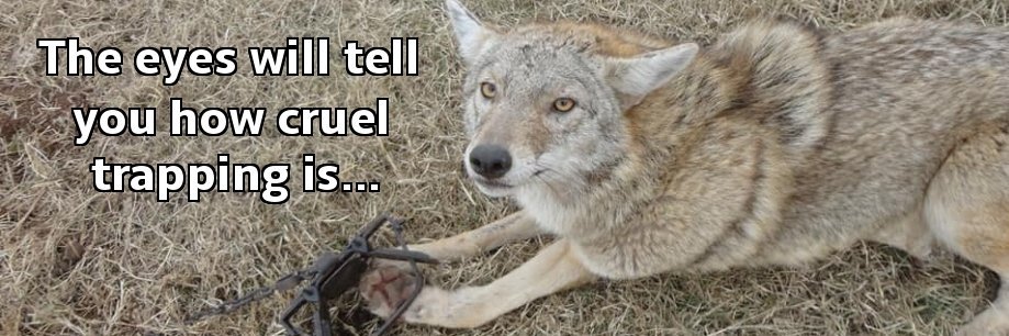 NH Citizens Against Recreational Trapping's banner