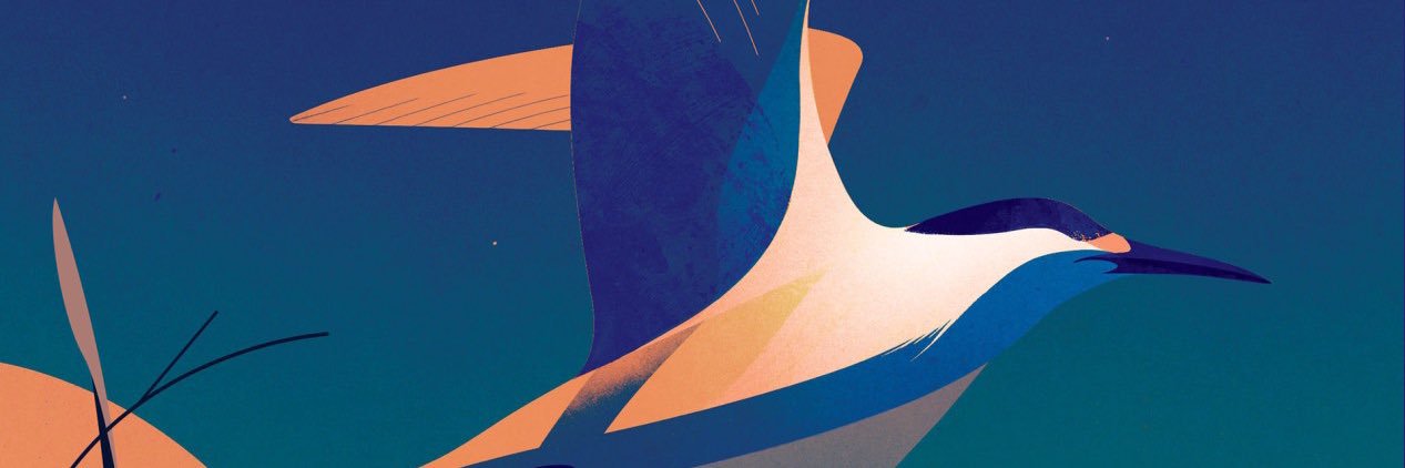 Boyuzal's profile banner image