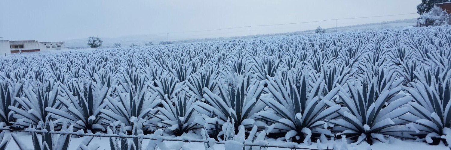 Gran Conde de la Cadena...catador de obleas banner