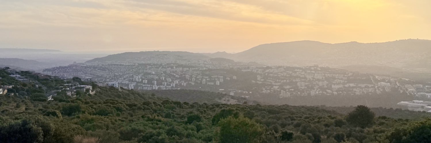 מאיר זלזניק Meir Zalaznik banner