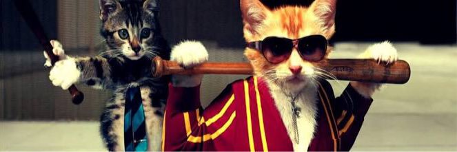 fatoshillA's profile banner image