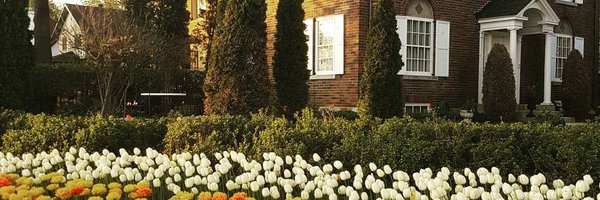 Tsnitch Profile Banner