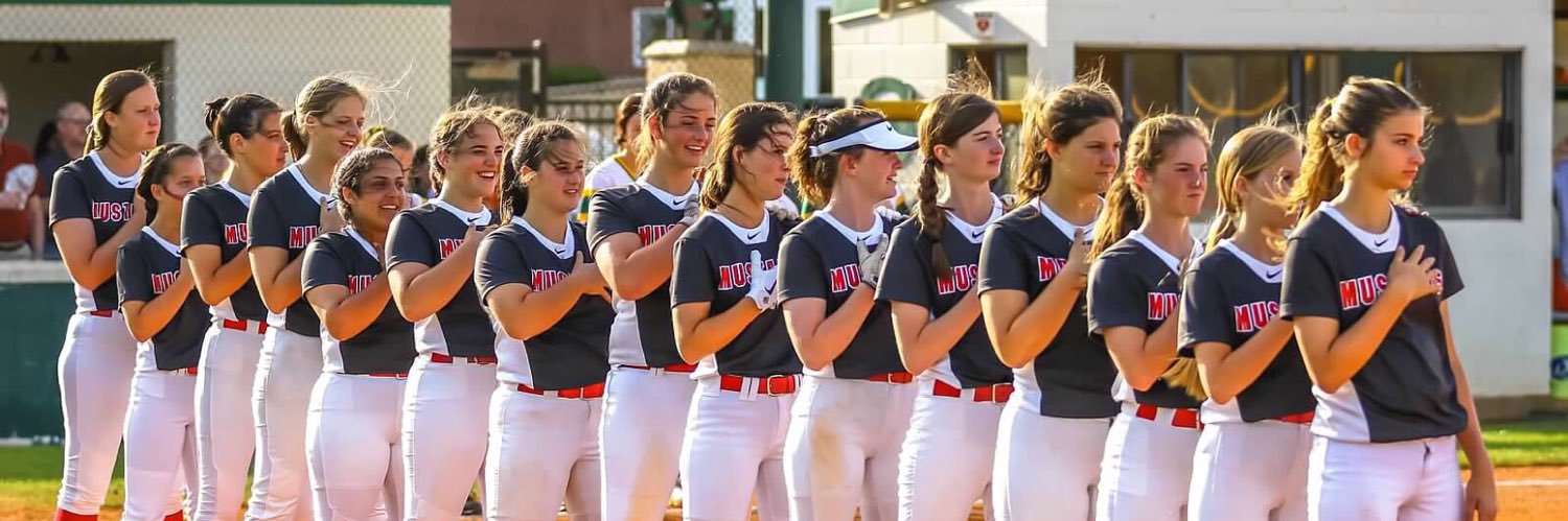 Memorial HS Softball banner