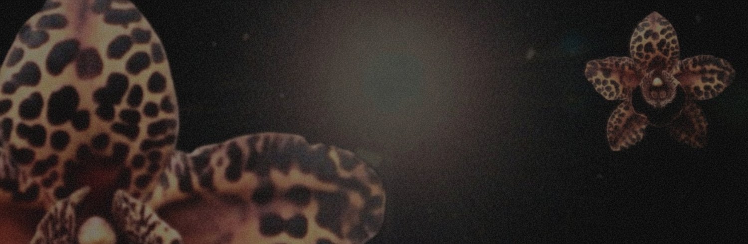 FL0RAMICA's profile banner image